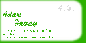 adam havay business card